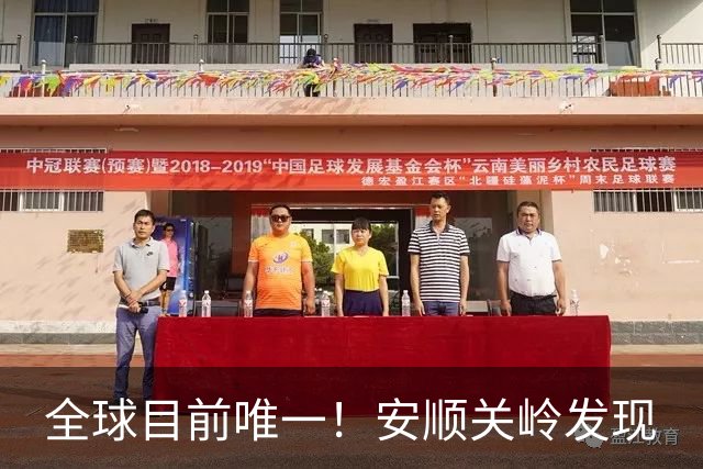 全球目前唯一！安顺关岭发现