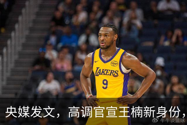 央媒发文，高调官宣王楠新身份，资产查封被带走调查传闻早有答案