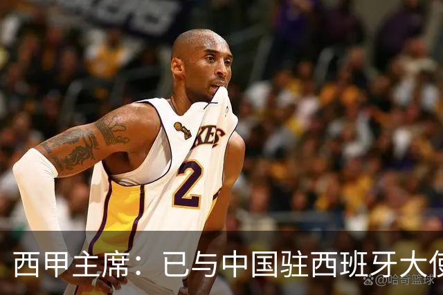 西甲主席：已与中国驻西班牙大使会面 寻求解决办法