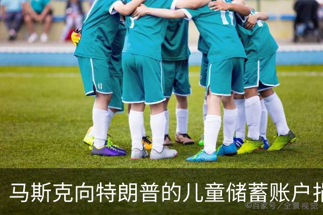 马斯克向特朗普的儿童储蓄账户捐80亿美元，美国财长公开致谢