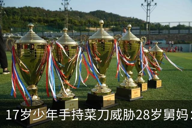 17岁少年手持菜刀威胁28岁舅妈：“让我睡一次，不然死给你看！”