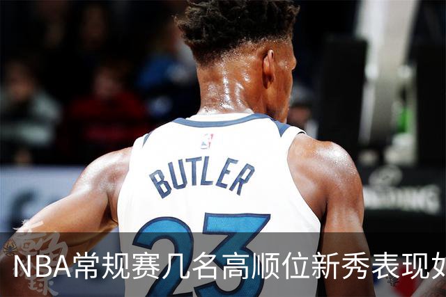 NBA常规赛几名高顺位新秀表现如何？彼得森场均12分，布泽尔场均16分，那状元迪班萨呢？